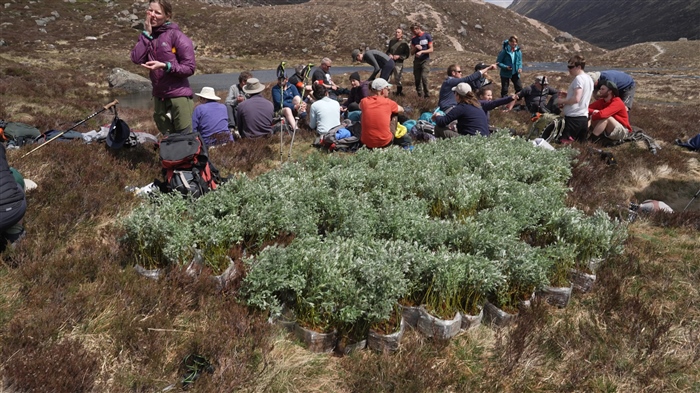 A group of people sitting down at the top of a mountain, surrounded by small saplings in bags.