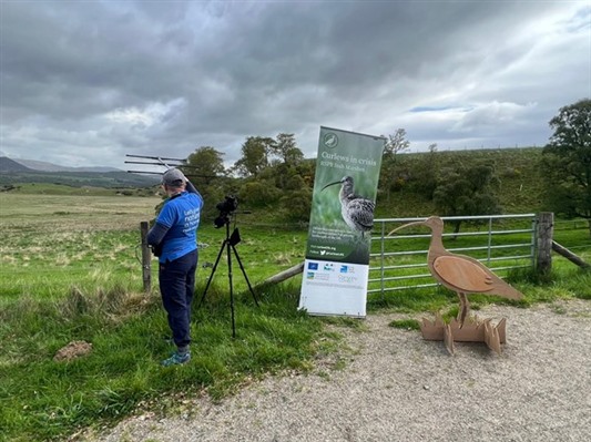 A person in a blue RSPB uniform holding a large aerial over a grassy field. A big wooden Curlew model is next to them.