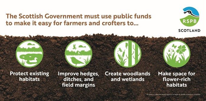 A graphic showing  that the Scottish Government must use public funds to make it easy for farmers and crofters to 1. protect existing habitats. 2. Improve hedges, ditches and field margins. 3. create woodlands and wetlands. 4. make space for flower-rich habitats. Green and white illustrations depict each of these reasons.