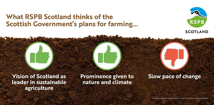 A graphic that shows what RSPB Scotland thinks of the Scottish Government's plans for farming. Two green and white illustrations of thumbs up depict 1. Vision of Scotland as leader in sustainable agriculture and 2. Prominence given to nature and climate. A red and white illustration of a thumbs down depicts a slow pace of change.