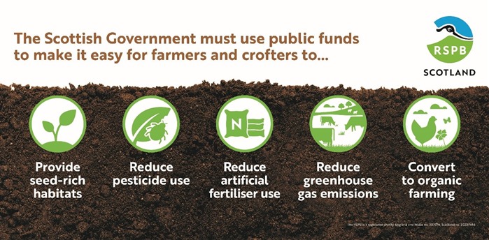 A graphic which shows that the Scottish Government must use public funds to make it easy for farmers and crofters to 1. provide seed-rich habitat. 2. reduce pesticide use. 3. reduce artificial fertiliser use. 4. reduce greenhouse gas emissions. 5. convert to organic farming. Green and white illustrations depict each of these reasons.