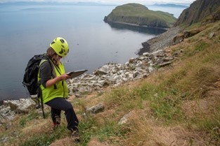 A warden stood on the cliffside, surveying seabirds as they return to breed