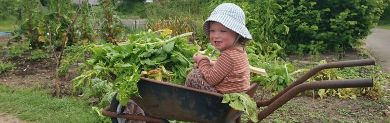 A child sitting in a wheelbarrow, along with vegetable and other plant cuttings