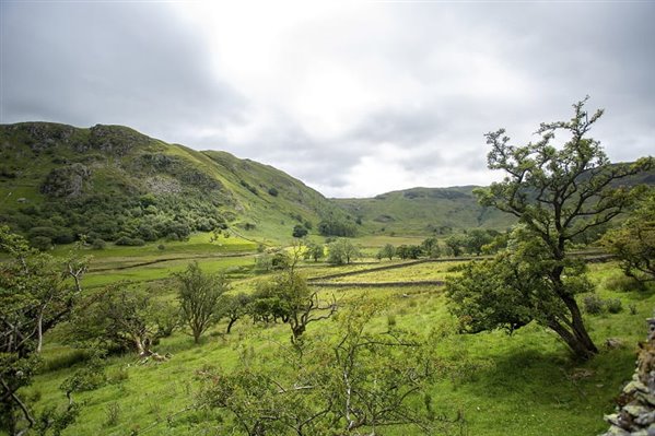 Landscape at Haweswater nature reserve