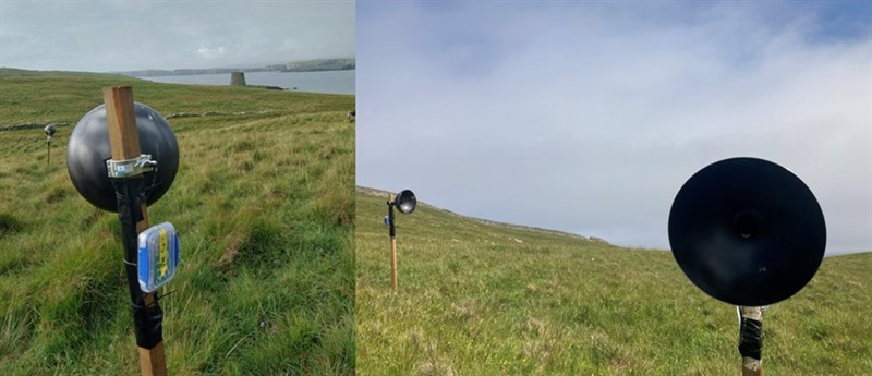 Two pictures, of plastic salad bowls painted black, attached to wooden fence posts, spread out across Mousa