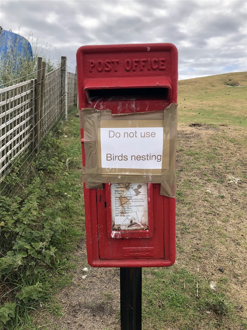 A postbox with a sign taped to the front which says "Do not use. Birds Nesting".