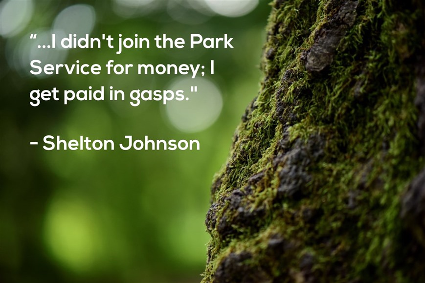 Quote overlaid over an image of a tree. the quote reads "I didn't join the Park Service for money; I get paid in gasps."- Shelton Johnson