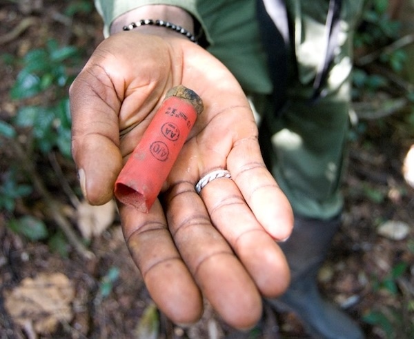 A discarded shotgun cartridge held in the palm of a hand